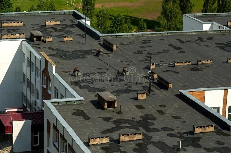 Включи school rooftop