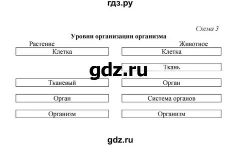 Биология 7 класс бодрова