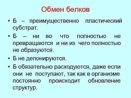 При пластическом обмене происходит