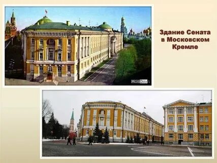 Сенат проект