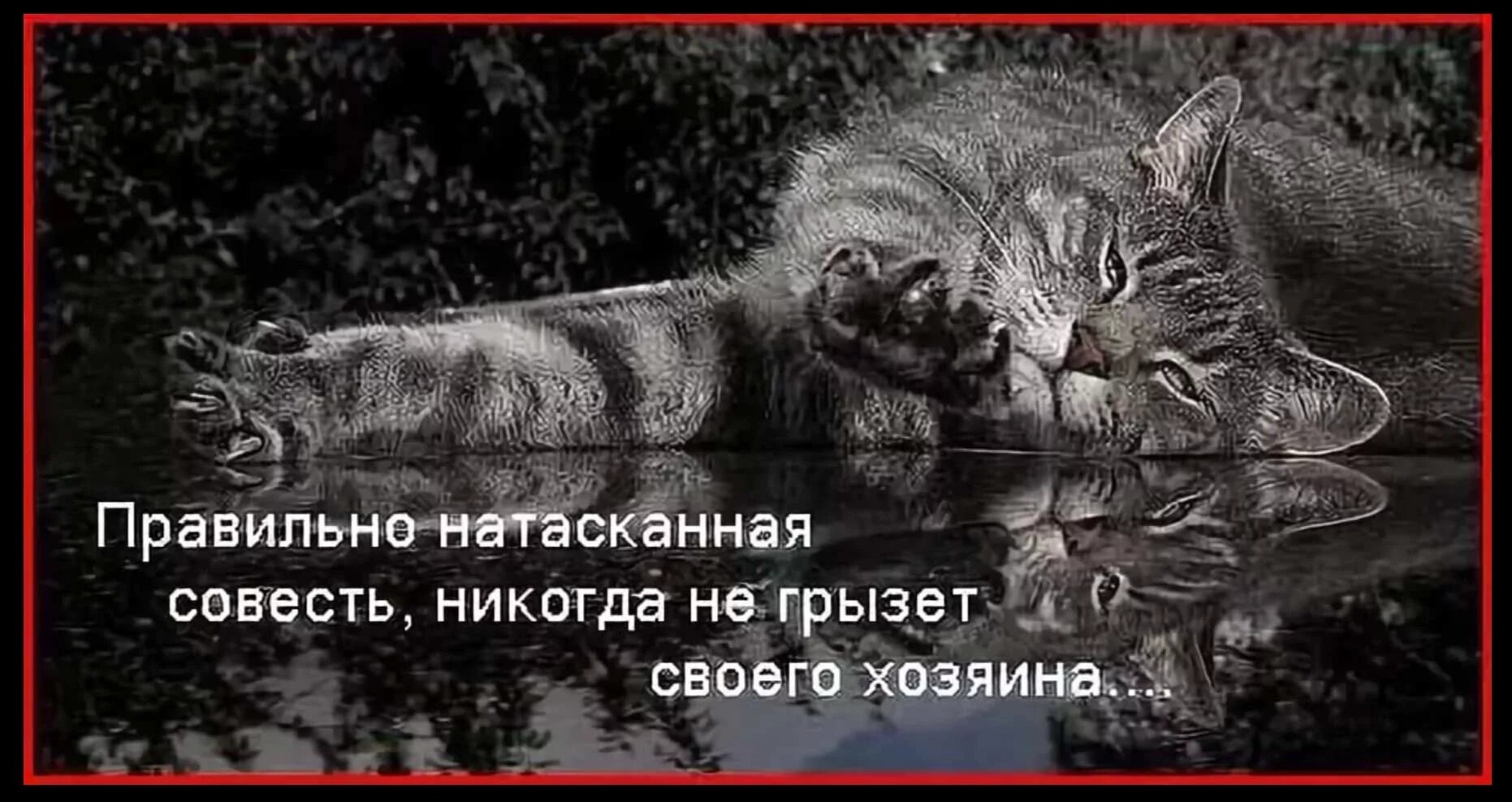 Пушкин совесть когтистый зверь. Хорошо натасканная совесть никогда не грызёт своего хозяина. Рисунок совесть грызет. Хорошо натасканная совесть. Совесть картинки со смыслом.