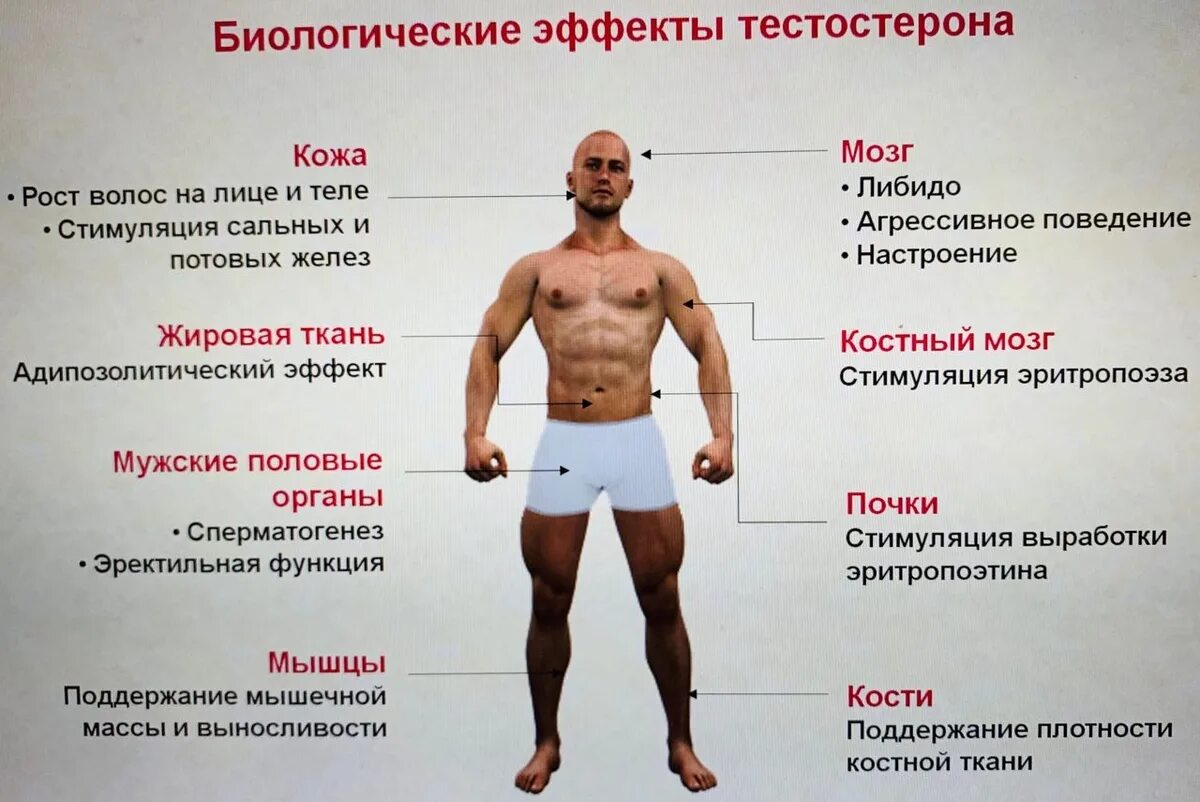 Для чего колят гормоны