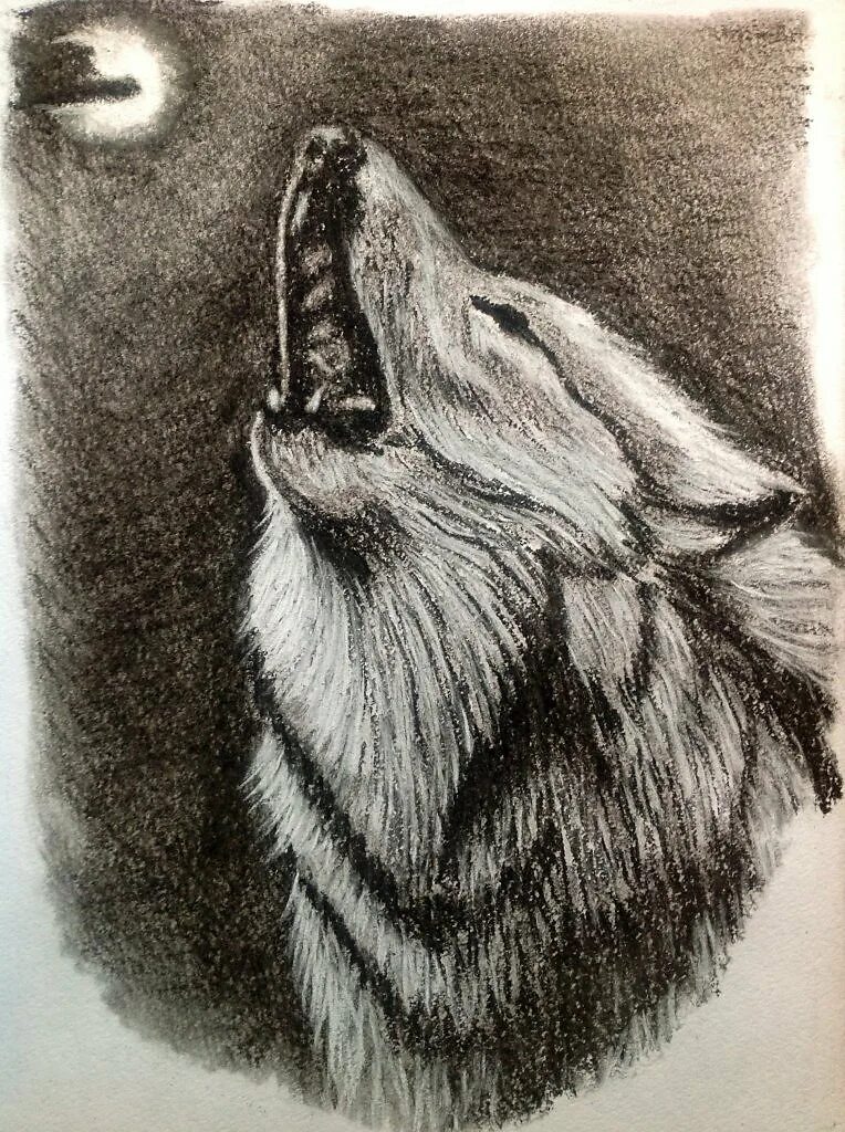 Картинки волка рисунки. Волк карандашом. Рисунки Волков карандашом. Рисунок волка простым карандашом. Нарисовать волка карандашом.