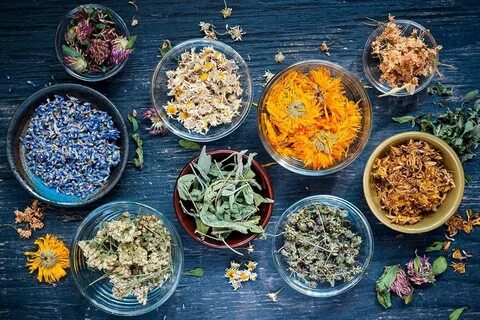 Herbal medicine photo