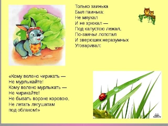Презентация к уроку путаница 2 класс. Путаница с лошадьми. Вот обрадовались звери. Презентация к уроку путаница 2 класс. Чуковский путаница 2 класс школа россии.