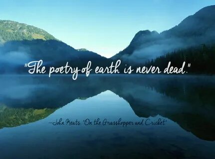 Beautiful saying
