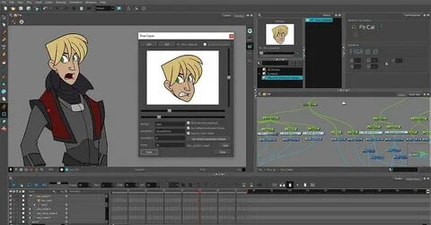 Toon boom animate