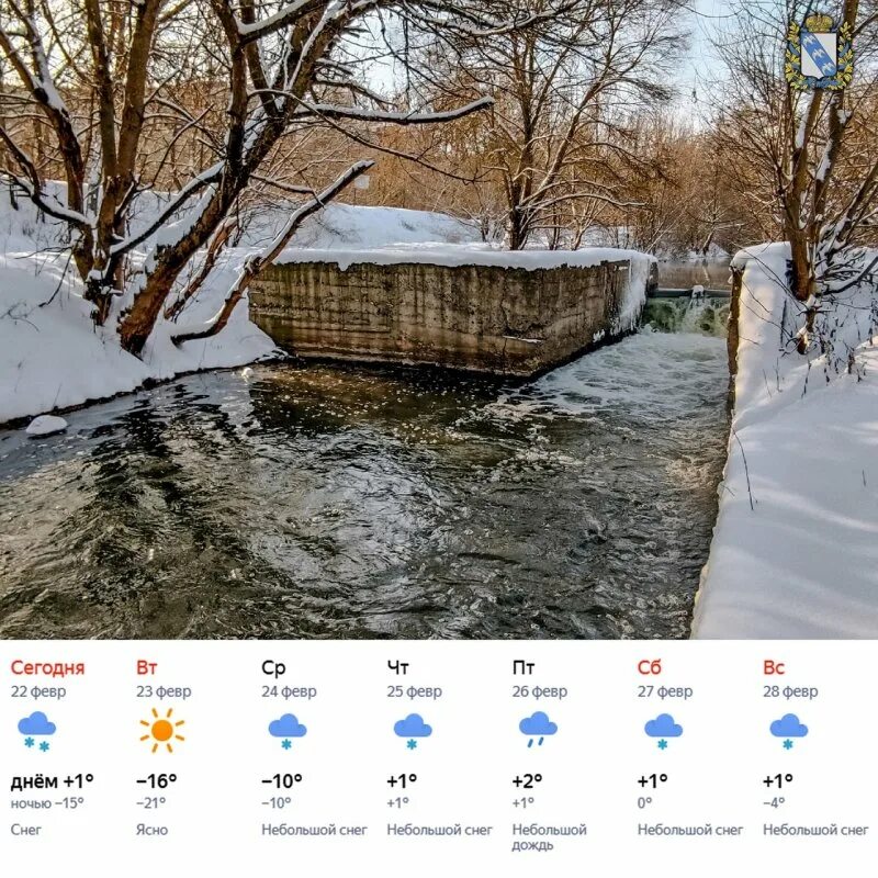 Температура в Курске. Погода в Курске сегодня. Погода на последнюю неделю зимы. Температура в Курске на неделю.