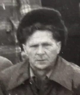 Иванович 17