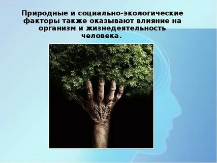 Живой организм самостоятельная саморегулирующаяся