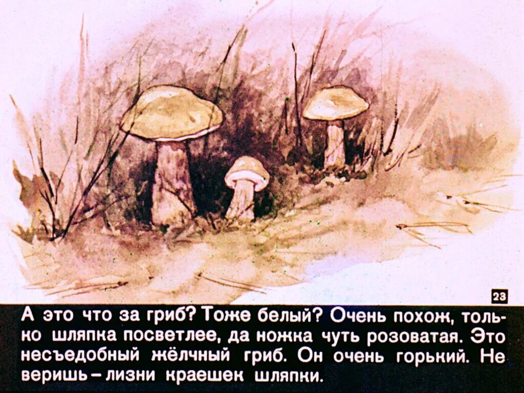 Ты гриб. Диафильм под грибом. Ты грибочек. Сказка под грибом диафильм. Стихотворение ох грибок ты мой грибочек