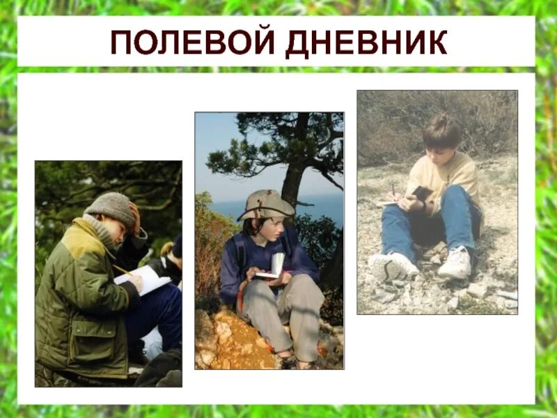 Метод наблюдения животных