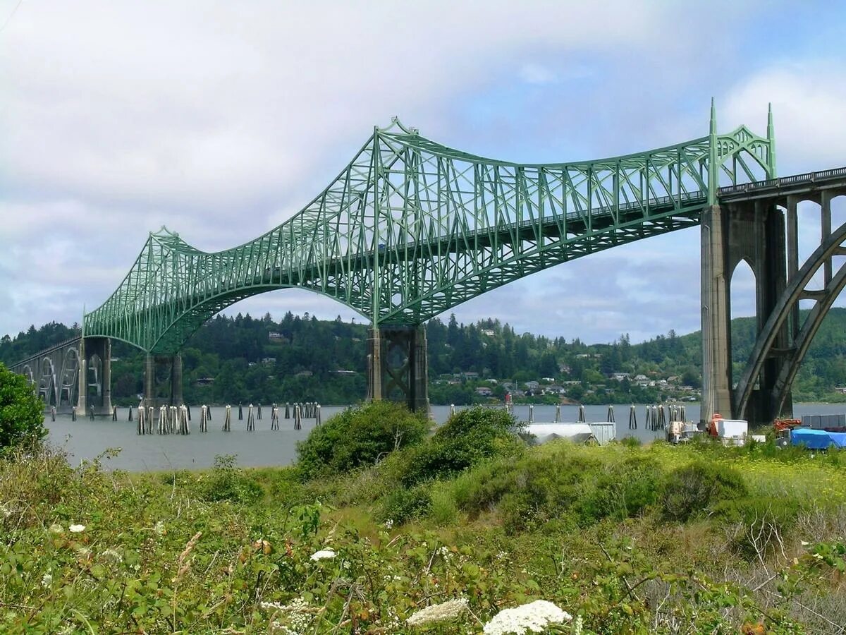 Bridge net