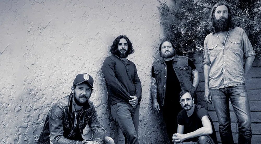 Band of horses