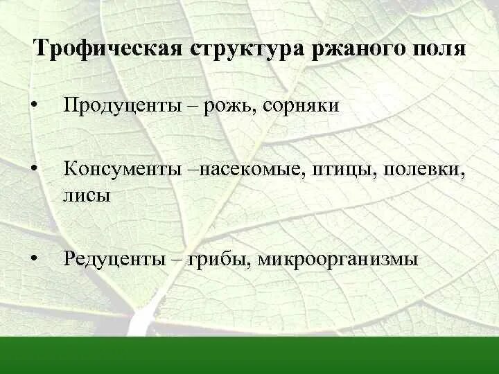 Продуценты агроценоза. Продуценты поля. Поле продуценты консументы редуценты. Продуценты насекомые. Консументы 1 порядка в пшеничном поле.