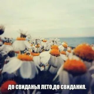 Уходящее лето минусовка