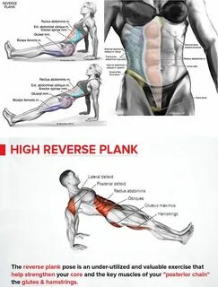 How to reverse