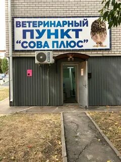 Филин плюс