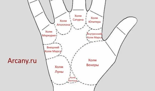 Символы на линии брака. Звезда на холме меркурия. Хиромантия знаки на холме меркурий. Линии на бугре юпитера на ладони. Линия сатурна и меркурия на ладони.