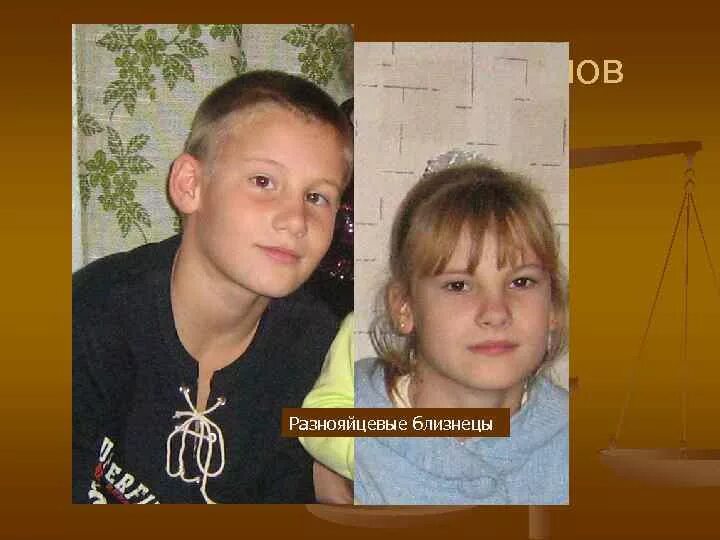 Мартин шоллер фотограф. Однояйцевые близнецы генетика. Фенотип близнецов. Близнецовый метод. Монозиготные и дизиготные близнецы.