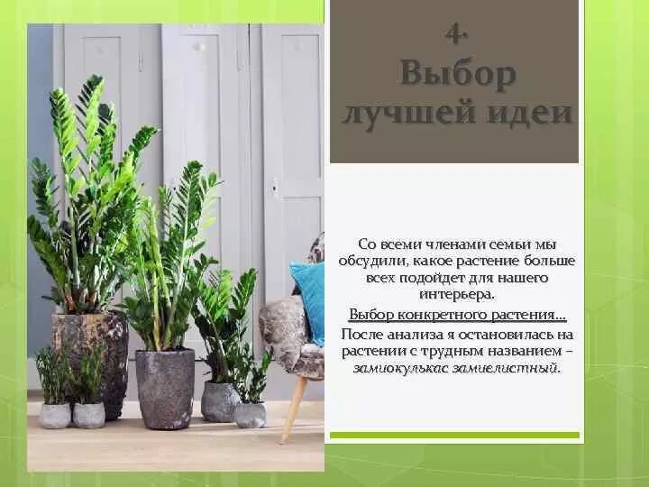 Творческий проект растения в интерьере жилого дома