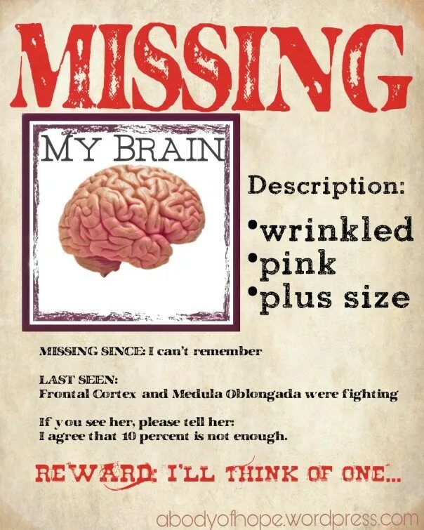 Lost brained. My Brain doesn't work. My Brain Lyrics. What's in my Brain. Trace Feed my Brain.