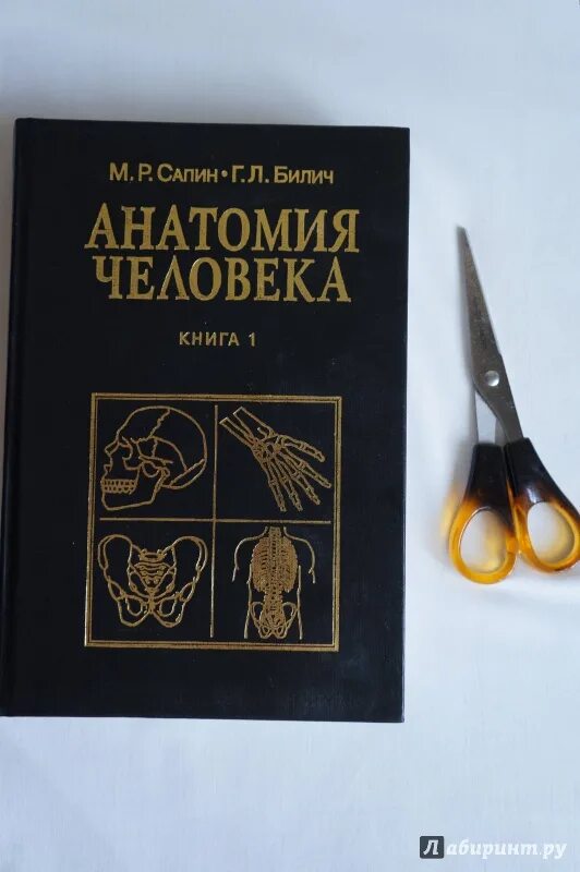 Сапин том 2 читать. Анатомия человека сапин билич 2 издание. атлас анатомии сапин 1 том.