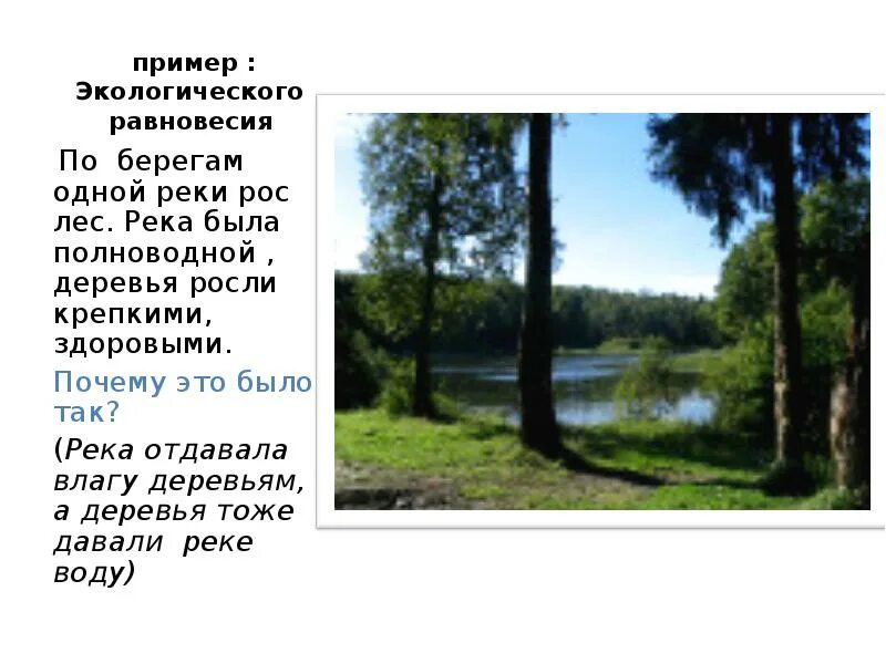 Какие реки растут в лесах