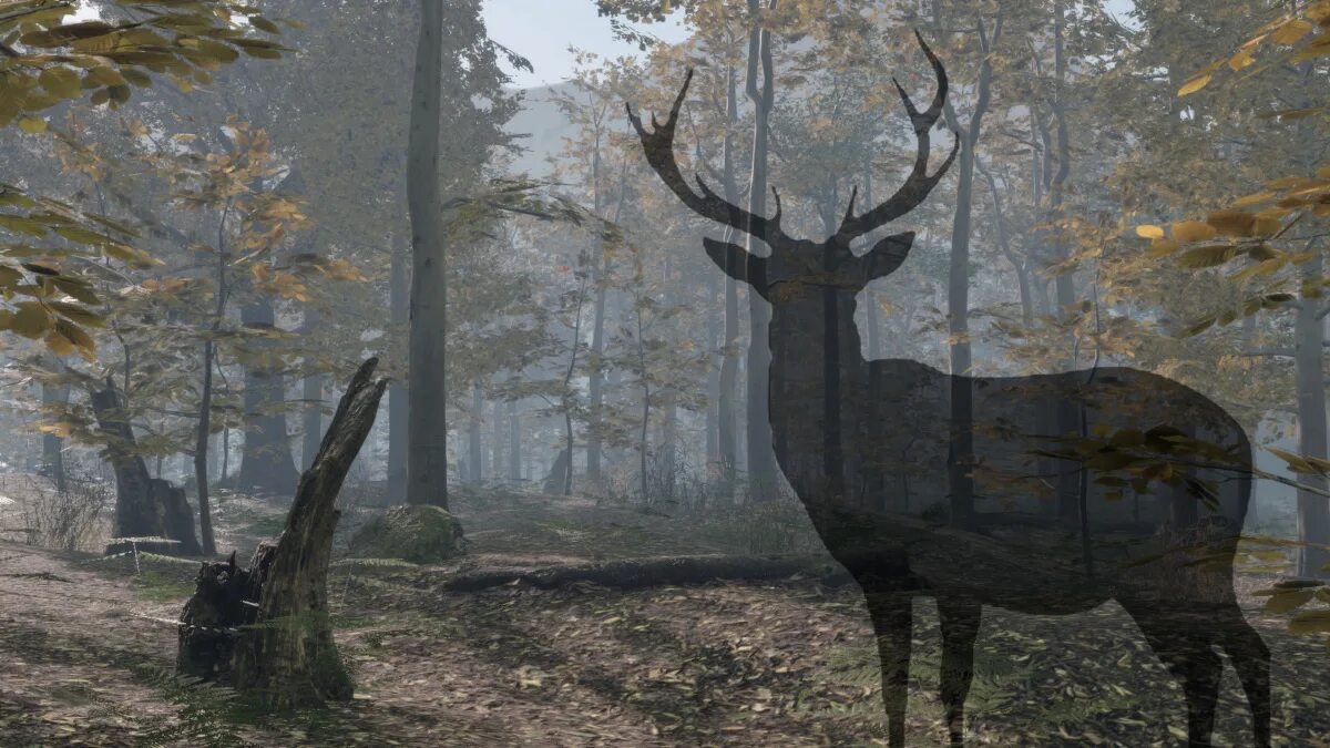 Pro Deer Hunting 2. Hunters Hunted 2. Forest Hunt 2 Коззи. The King Henry 8 Deer Hunted in my near Palace near. Hunt ps4