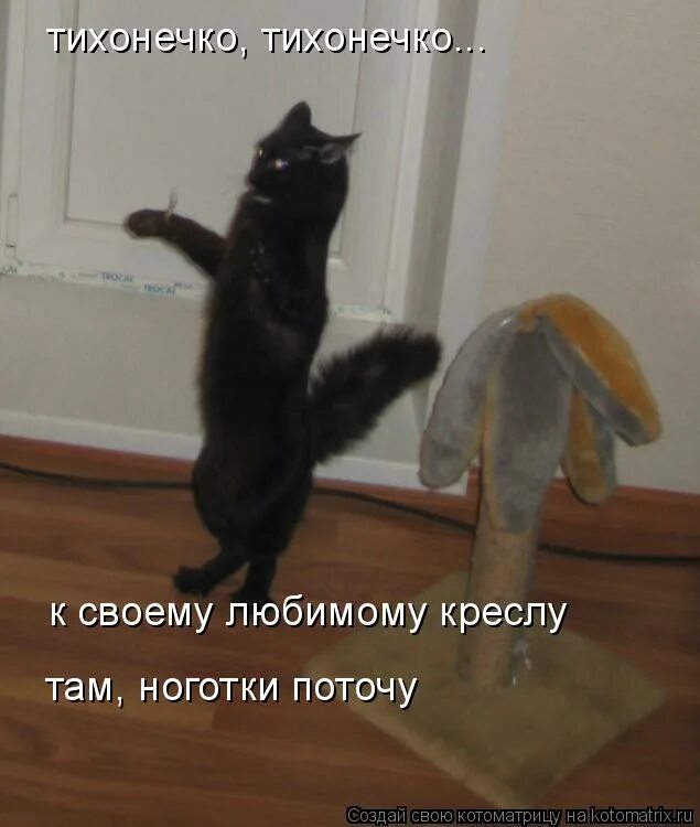 лежала между ёлками подушечка с иголками тихонечко. идиот до власти филатов леонид. гапчинская ангелы. картина гапчинской тихонечко. лежала между ёлками подушечка с иголками тихонечко лежала.