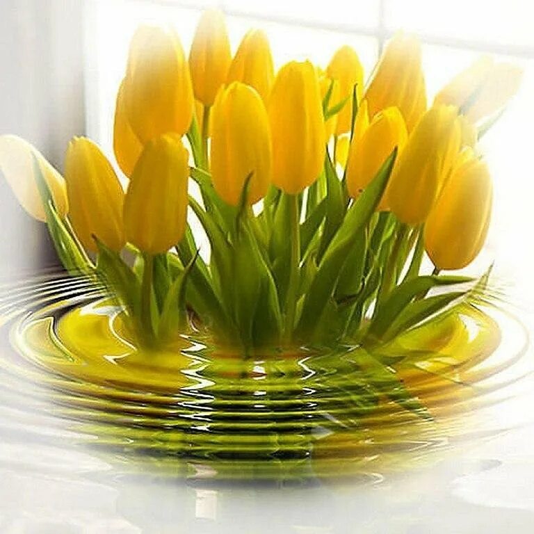 Доброе весеннее утро с тюльпанами картинки. Открытка с желтыми тюльпанами. Яркого весеннего дня. Тюльпаны открытка. Доброго весеннего дня.