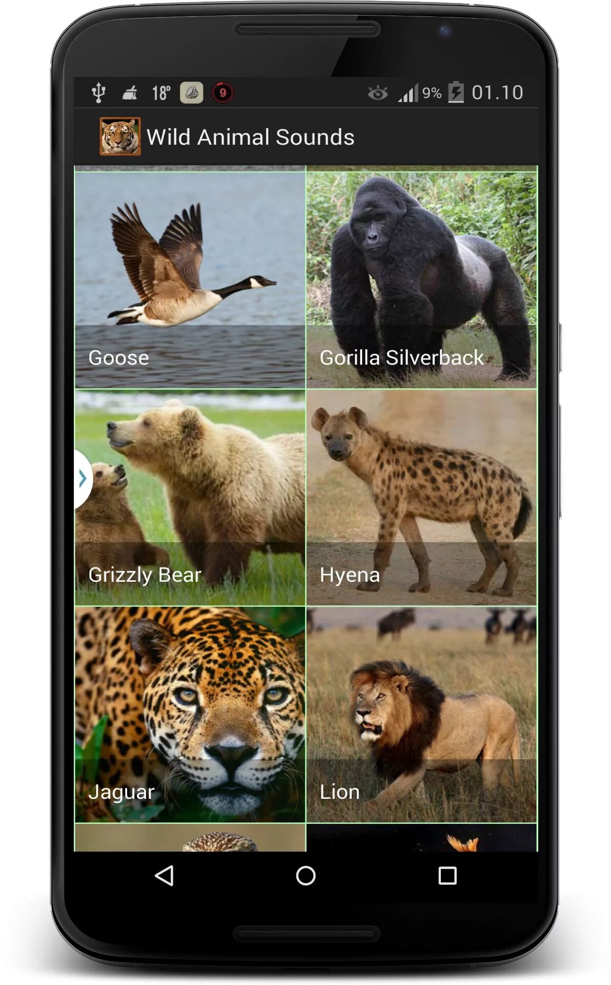 Звуки животных приложение. Звуки животных для детей. Звуки животных APK. Звуки животных аудио. Animals apk