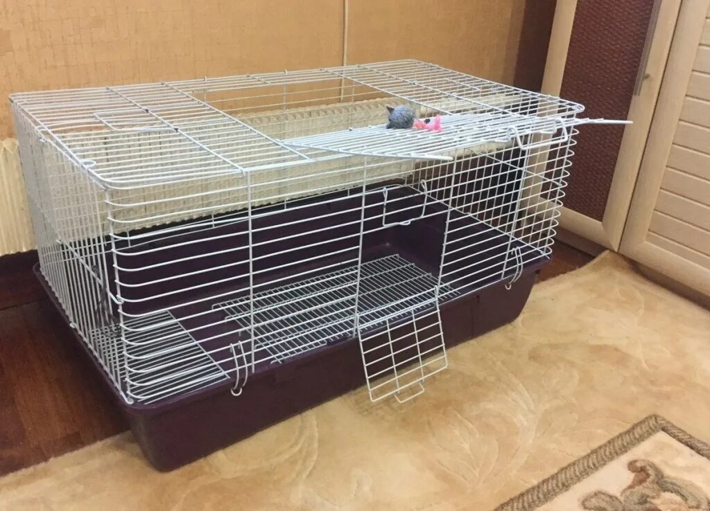 Клетка kredo d801. Большая клетка для хорька. 5 см. Клетка ferplast small animals. Большие клетки для хорьков.