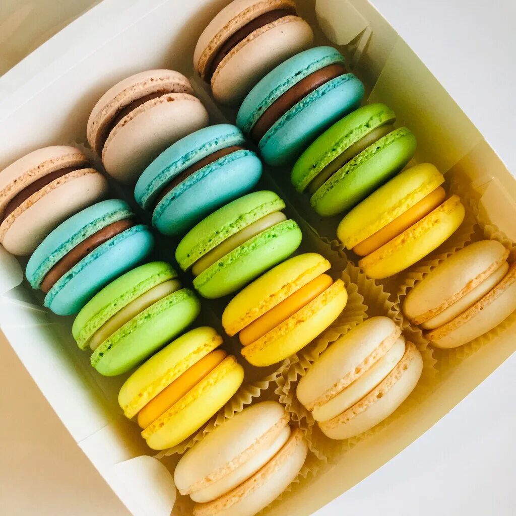 Веселка. Завжди смачно! 2016 Macaron Макаруни Квіти Львів ВКонтакте