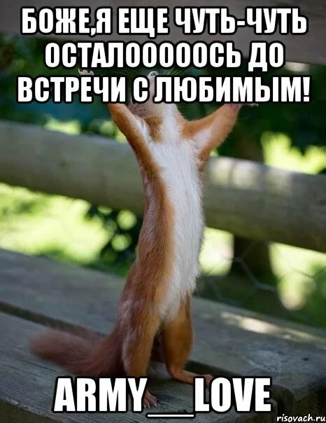 тень на стене канцлер ги текст. я ухожу сказала осень гиф. песня немного теплее. белые розы слова текст. белые розы шатунов текст.