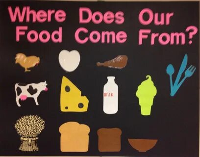 Where does our food come from? 