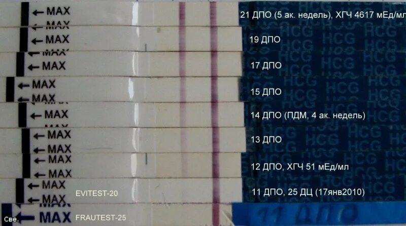 3 день после овуляции можно ли забеременеть. Тест на беременность по дням с уровнем ХГЧ. Уровень ХГЧ по дням тест. Уровень ХГЧ по ДПО. ХГЧ по дням беременности ДПО.