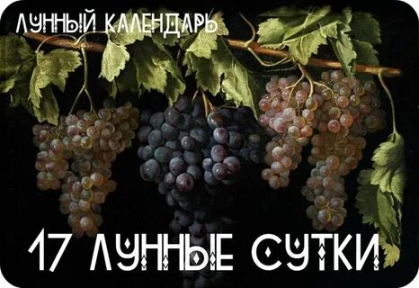 17 лунный день