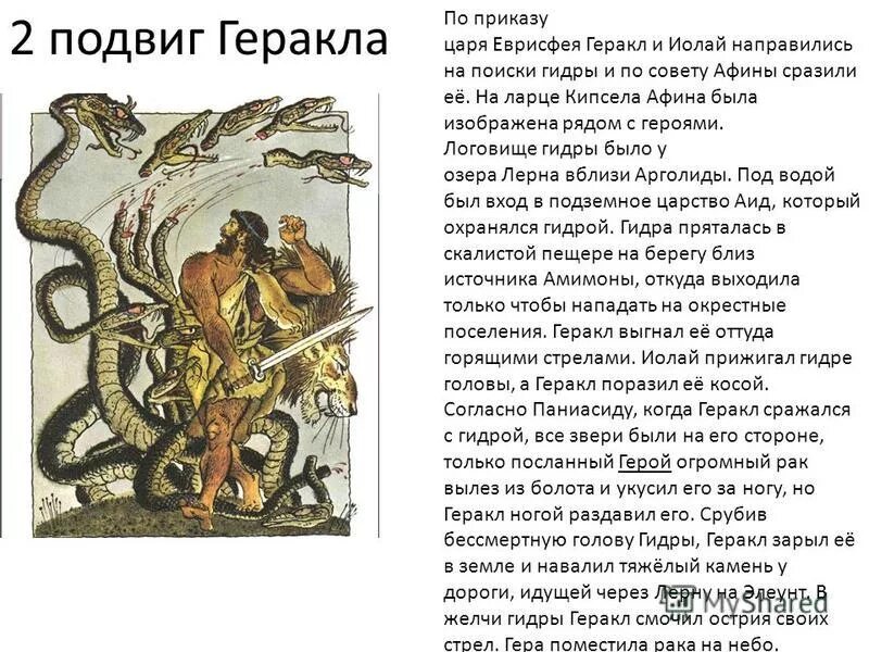 Краткое содержание произведения подвиги геракла. Мифы о подвигах Геракла 2 подвиг. Подвиги Геракла 12 подвигов. Рассказ о 2 подвиги Геракла. 12 Подвигов Геракла с описанием.