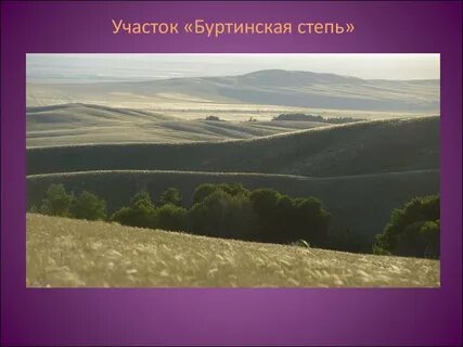Название заповедников в степи