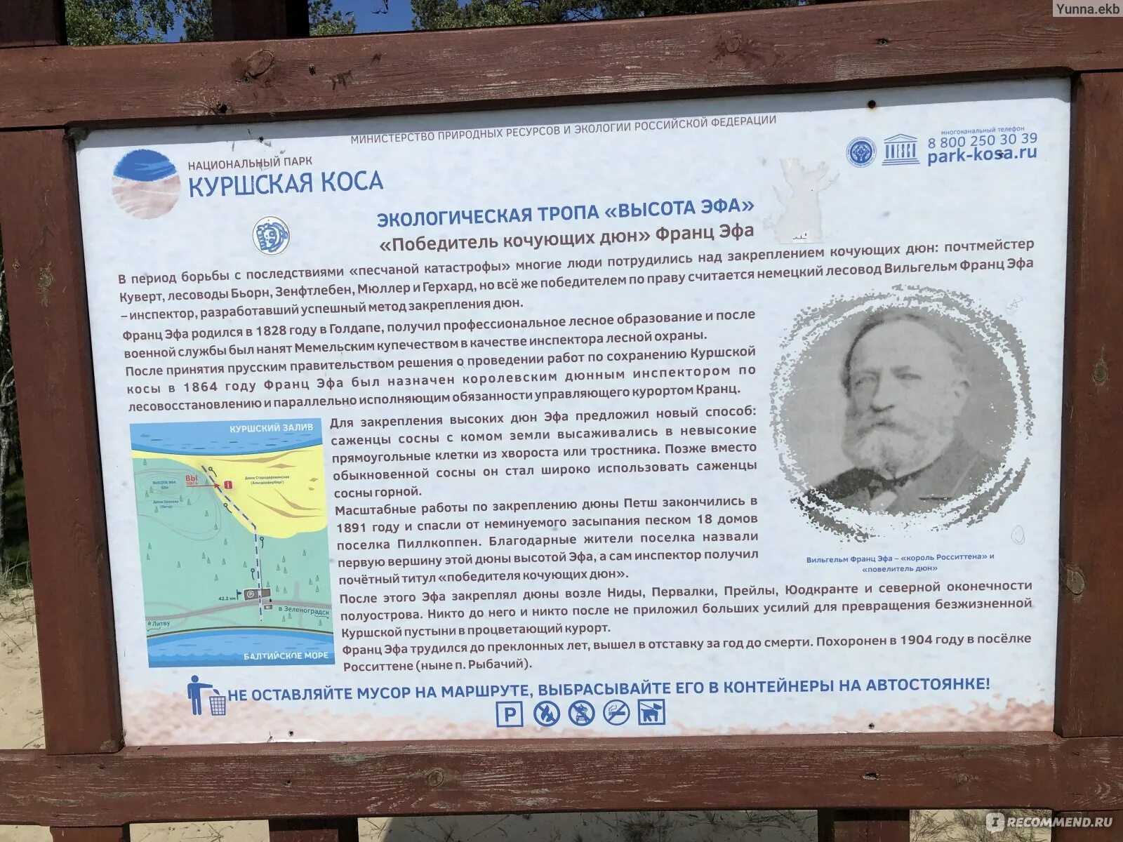 Погода лесное куршская коса калининградская. Куршская коса лес. Светлогорск куршская коса. Погода лесное куршская коса калининградская. Калининград балтийское море куршская коса.
