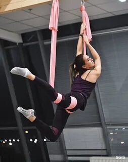 Elastic отзывы