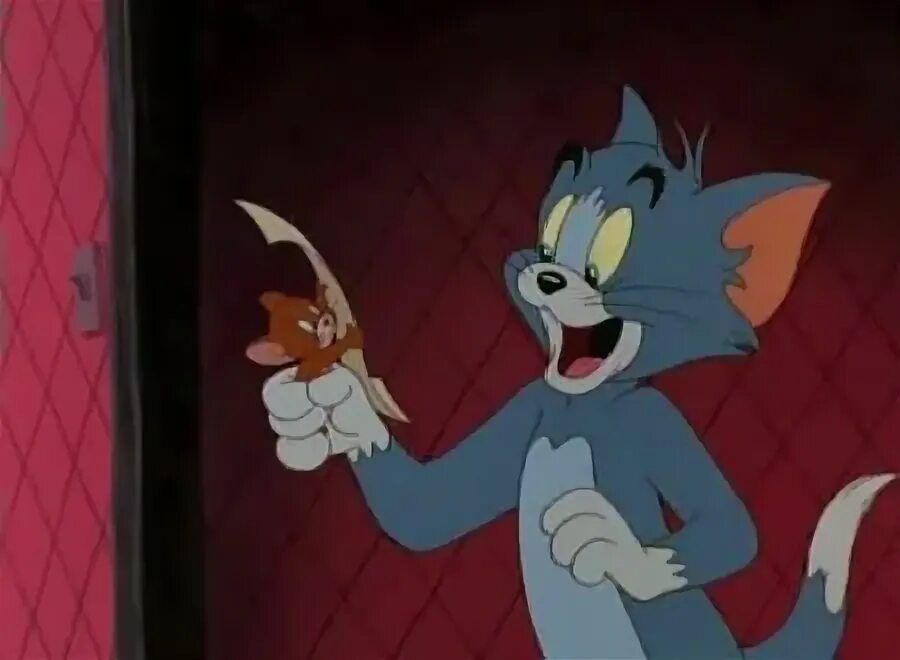 Animation screencaps tom and jerry
