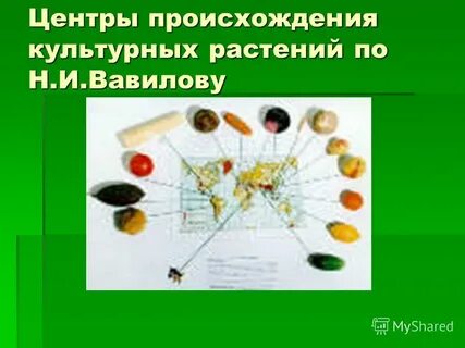 Сообщение о происхождении культурных растений
