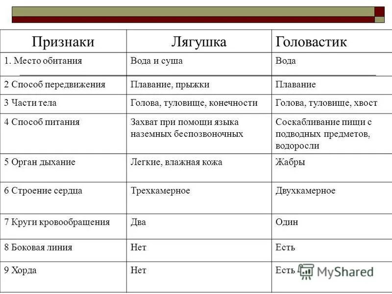 земноводные на суше. жабры головастика. среда обитания головастика. сравнение рыб и земноводных. земноводные 7 класс биология.