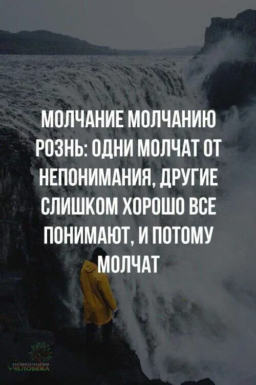 Высказывания о непонимании. Недопонимание цитаты. Недопонимание высказывание. Афоризмы про недопонимание. Насчет своего долгого молчания