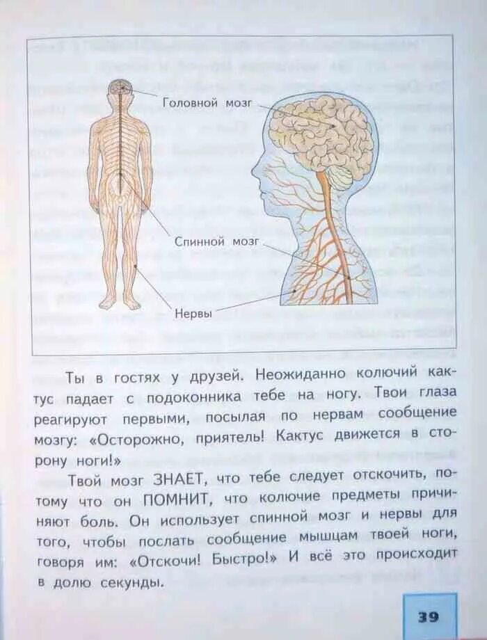 Мир 4 класс 2 часть. Учебник окружаещева мира 4 класс 2 часть. Учебник по окружающему миру 4. Окружающий мир 4 класс учебник Федотова.