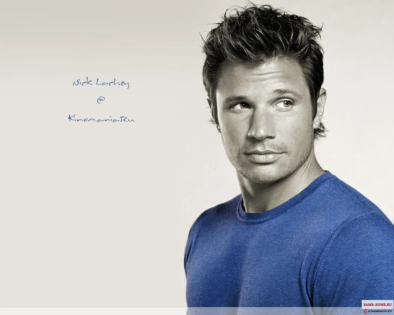 ник качества