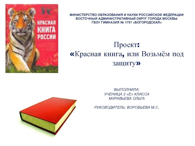 Сделать красную книгу 2 класс. Проект по окружающему миру 2 класс красная книга титульный лист. Проект красная книга. Проект по окружающему миру 2 класс красная книга. Проект красная книга или возьмем под защиту.