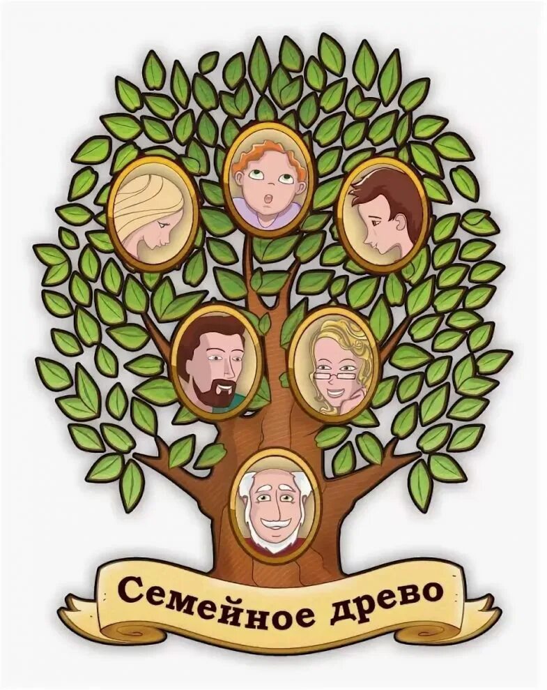 Как нарисовать родословную